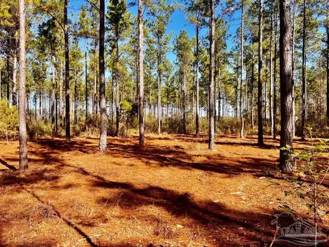 lot17 Denali Rd, Jay, FL 32565 photo 20