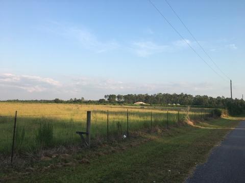 8201 Jakes Rd, Mcdavid, FL 32568 photo 7