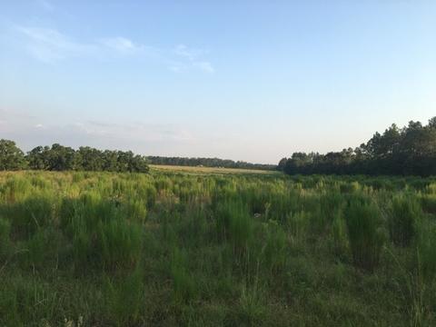 8201 Jakes Rd, Mcdavid, FL 32568 photo 8
