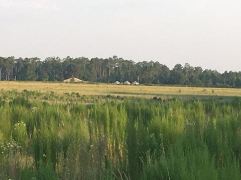 8201 Jakes Rd, Mcdavid, FL 32568 photo 9