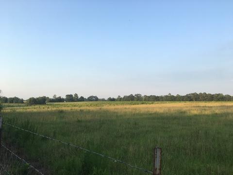 8201 Jakes Rd, Mcdavid, FL 32568 photo 5