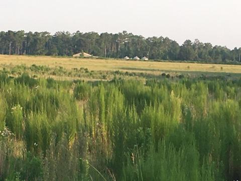 8201 Jakes Rd, Mcdavid, FL 32568 photo 4
