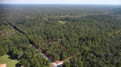 325 E Bogia Rd, Mcdavid, FL 32568 photo 6