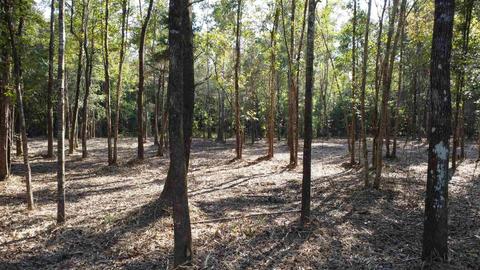 325 E Bogia Rd, Mcdavid, FL 32568 photo 2