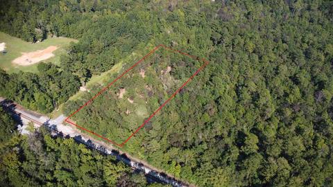 325 E Bogia Rd, Mcdavid, FL 32568 photo 5