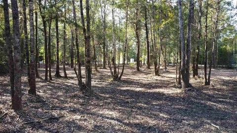 325 E Bogia Rd, Mcdavid, FL 32568 photo 3