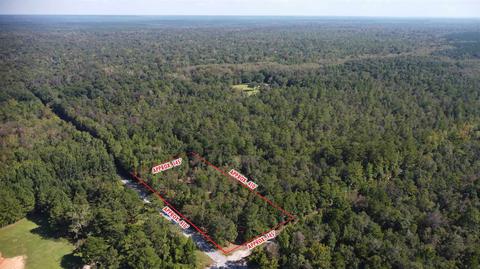 325 E Bogia Rd, Mcdavid, FL 32568 photo 8