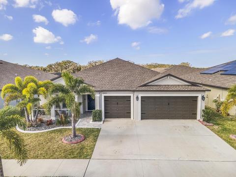 10803 Crushed Grape Dr, Riverview, FL 33578 photo 36