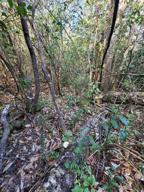 2057 Cascade Dr, Pace, FL 32571 photo 31
