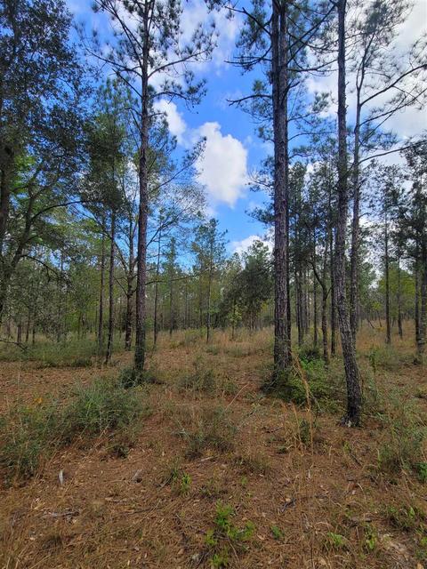 2057 Cascade Dr, Pace, FL 32571 photo 10