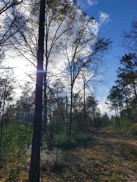 2057 Cascade Dr, Pace, FL 32571