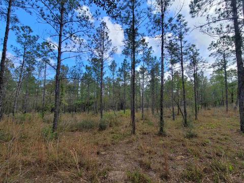 2057 Cascade Dr, Pace, FL 32571 photo 11