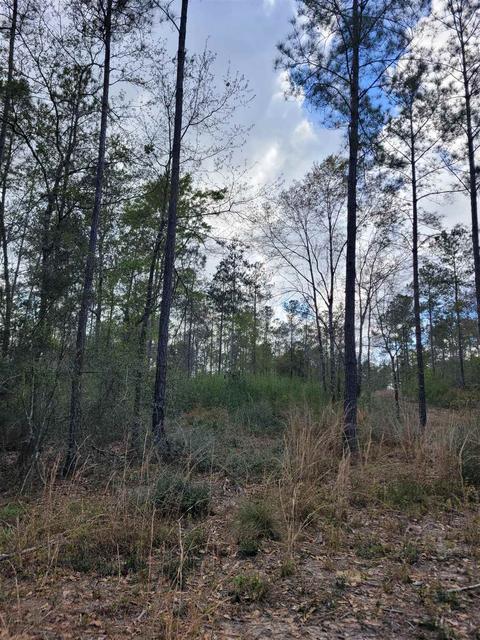2057 Cascade Dr, Pace, FL 32571 photo 13