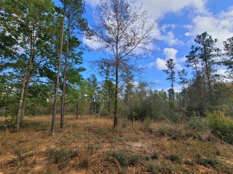 2057 Cascade Dr, Pace, FL 32571 photo 5