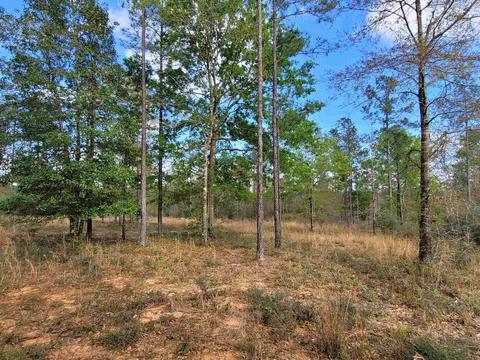 2057 Cascade Dr, Pace, FL 32571 photo 3