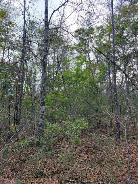 2057 Cascade Dr, Pace, FL 32571 photo 15