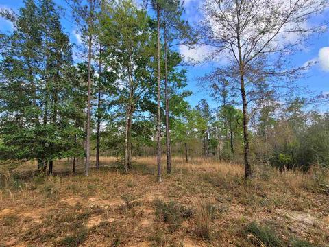2057 Cascade Dr, Pace, FL 32571 photo 4