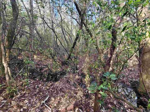 2057 Cascade Dr, Pace, FL 32571 photo 20