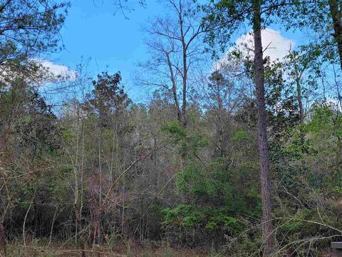 2057 Cascade Dr, Pace, FL 32571 photo 14