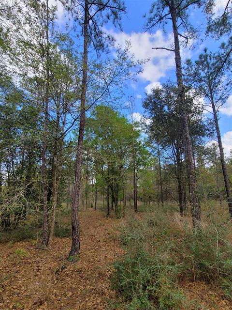 2057 Cascade Dr, Pace, FL 32571 photo 9