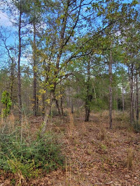 2057 Cascade Dr, Pace, FL 32571 photo 12