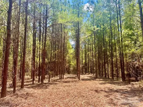 lot1 Naturewalk Dr, Pace, FL 32571 photo 18