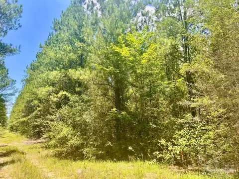 lot1 Naturewalk Dr, Pace, FL 32571 photo 19