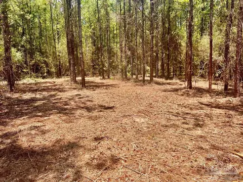 lot1 Naturewalk Dr, Pace, FL 32571 photo 13