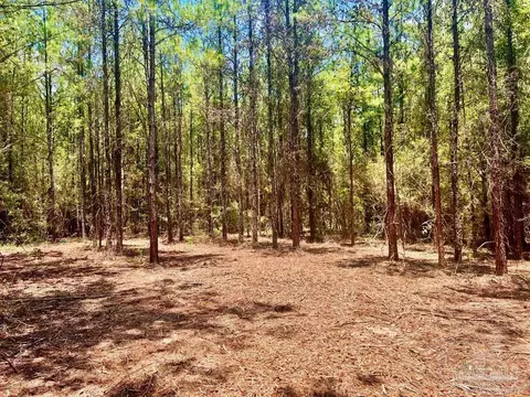 lot1 Naturewalk Dr, Pace, FL 32571 photo 15