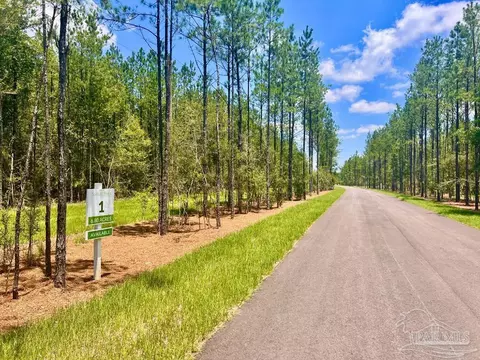 lot1 Naturewalk Dr, Pace, FL 32571 photo 4