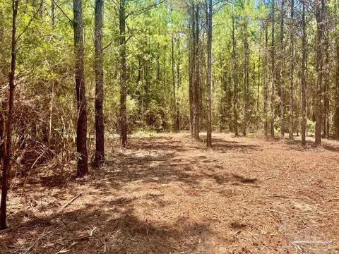 lot1 Naturewalk Dr, Pace, FL 32571 photo 14