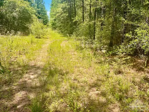 lot1 Naturewalk Dr, Pace, FL 32571 photo 20