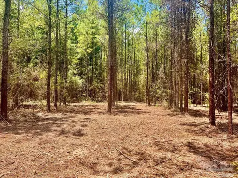 lot1 Naturewalk Dr, Pace, FL 32571 photo 12