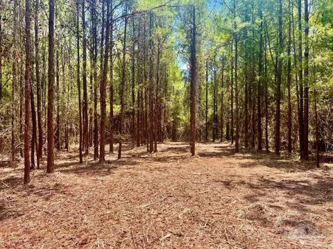 lot1 Naturewalk Dr, Pace, FL 32571 photo 17
