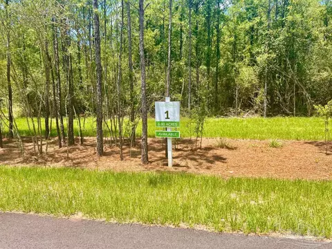 lot1 Naturewalk Dr, Pace, FL 32571 photo 5