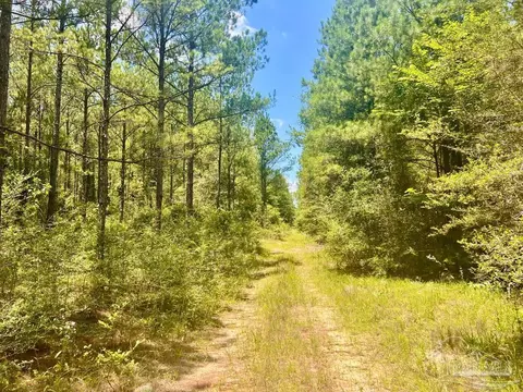 lot1 Naturewalk Dr, Pace, FL 32571 photo 9