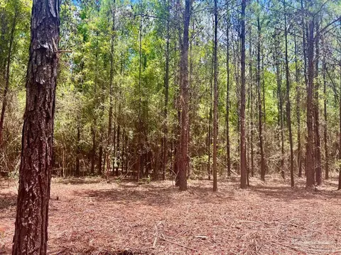 lot1 Naturewalk Dr, Pace, FL 32571 photo 11