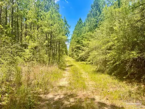 lot1 Naturewalk Dr, Pace, FL 32571 photo 8