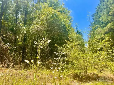 lot1 Naturewalk Dr, Pace, FL 32571 photo 10
