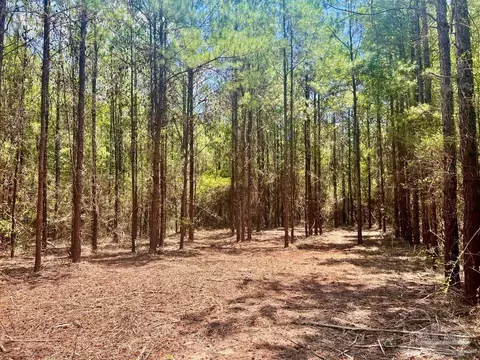 lot1 Naturewalk Dr, Pace, FL 32571 photo 16