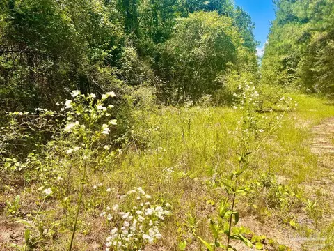 lot1 Naturewalk Dr, Pace, FL 32571 photo 21
