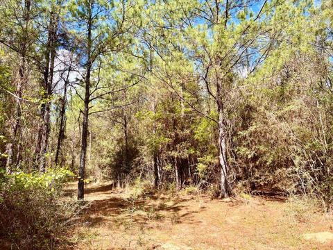 lot6 Creekdown Ln, Pace, FL 32571 photo 13