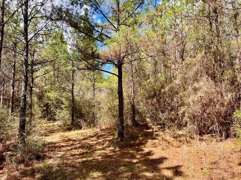 lot6 Creekdown Ln, Pace, FL 32571 photo 19