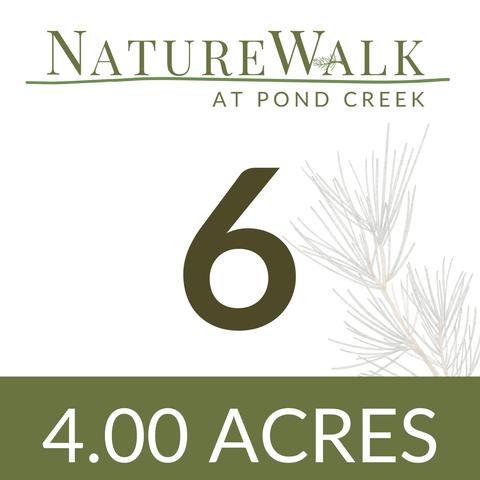 lot6 Creekdown Ln, Pace, FL 32571 photo 6