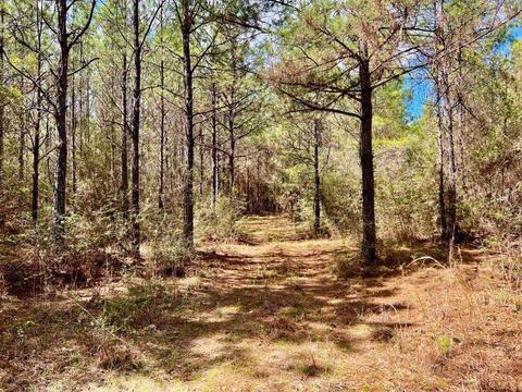 lot6 Creekdown Ln, Pace, FL 32571 photo 20