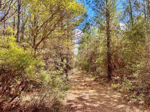 lot6 Creekdown Ln, Pace, FL 32571 photo 17
