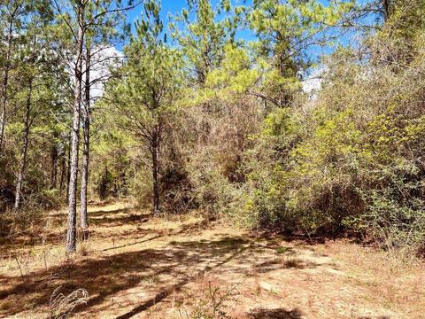 lot6 Creekdown Ln, Pace, FL 32571 photo 14