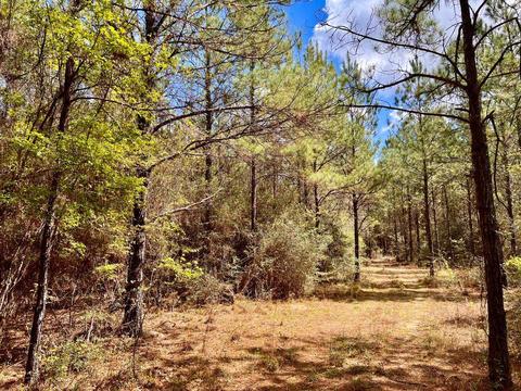 lot6 Creekdown Ln, Pace, FL 32571 photo 11