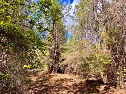 lot6 Creekdown Ln, Pace, FL 32571 photo 18
