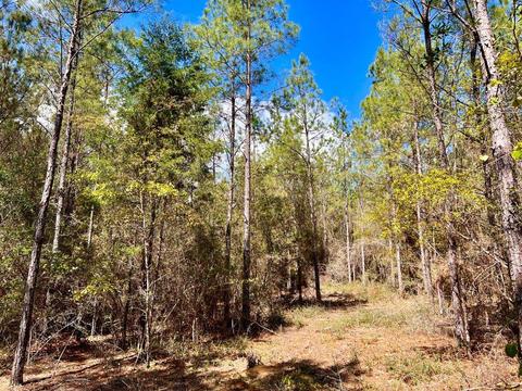 lot6 Creekdown Ln, Pace, FL 32571 photo 15